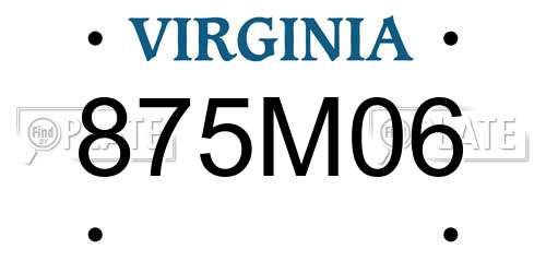 875M06 Virginia License Plate