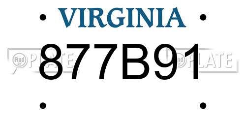 877B91 Virginia License Plate