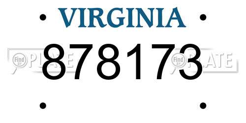 878173 Virginia License Plate