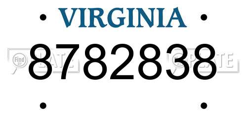 8782838 Virginia License Plate