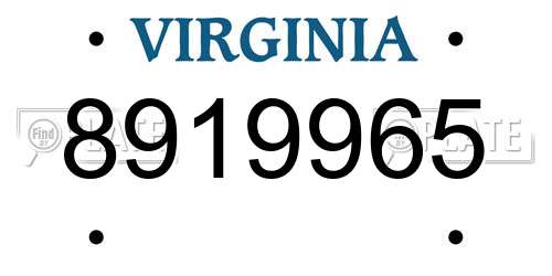 8919965 Virginia License Plate