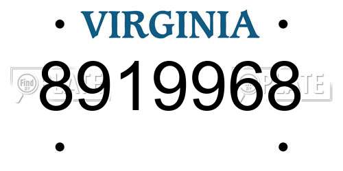 8919968 Virginia License Plate