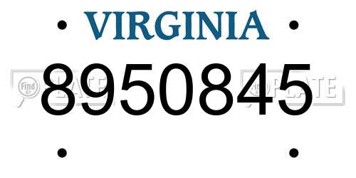 8950845 Virginia License Plate