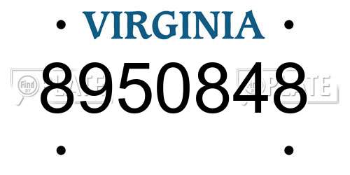 8950848 Virginia License Plate