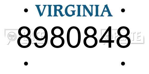 8980848 Virginia License Plate
