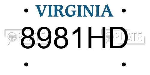 8981HD Virginia License Plate