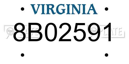 8B02591 Virginia License Plate