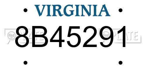 8B45291 Virginia License Plate