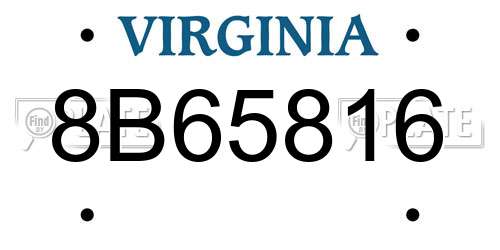 8B65816 Virginia License Plate
