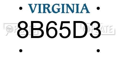 8B65D3 Virginia License Plate