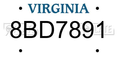8BD7891 Virginia License Plate