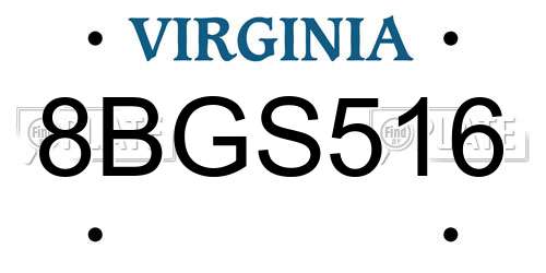 8BGS516 Virginia License Plate