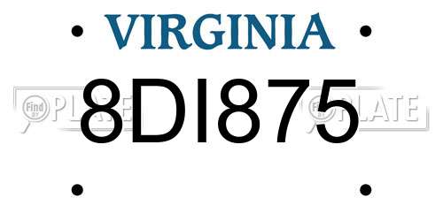 8DI875 Virginia License Plate
