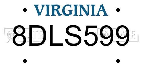 8DLS599 Virginia License Plate