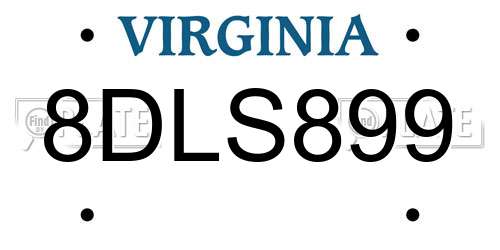 8DLS899 Virginia License Plate
