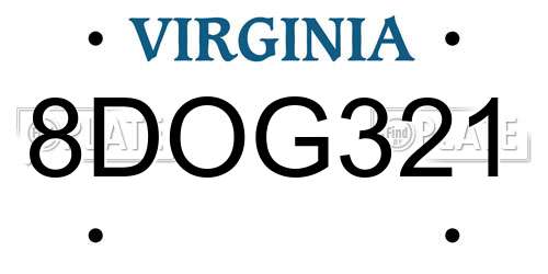 8DOG321 Virginia License Plate