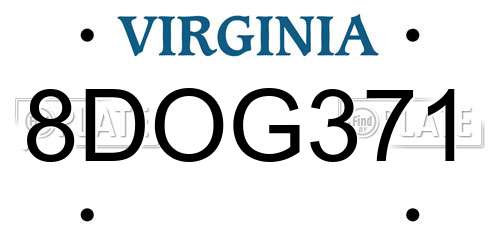 8DOG371 Virginia License Plate