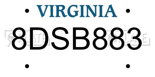 8DSB883 Virginia License Plate