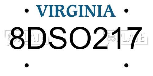 8DSO217 Virginia License Plate