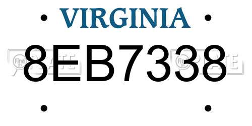 8EB7338 Virginia License Plate