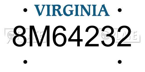 8M64232 Virginia License Plate