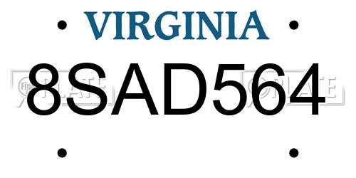 8SAD564 Virginia License Plate