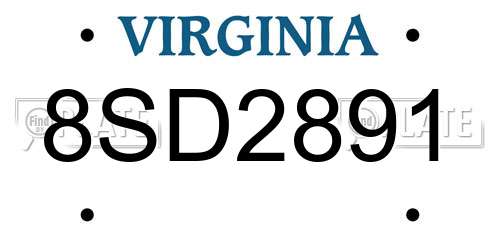 8SD2891 Virginia License Plate