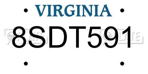 8SDT591 Virginia License Plate