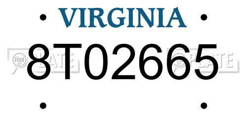 8T02665 Virginia License Plate