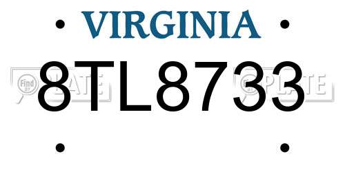 8TL8733 Virginia License Plate