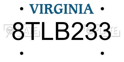 8TLB233 Virginia License Plate