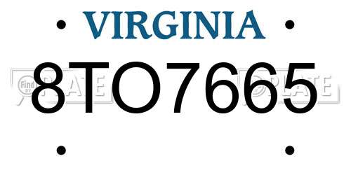 8TO7665 Virginia License Plate
