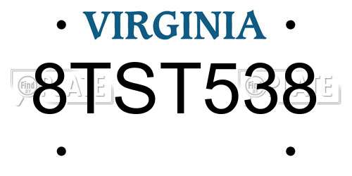 8TST538 Virginia License Plate