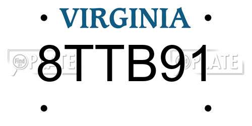 8TTB91 Virginia License Plate