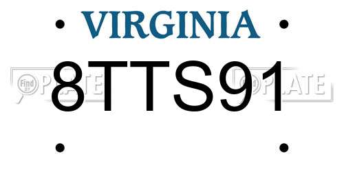 8TTS91 Virginia License Plate