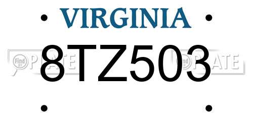 8TZ503 Virginia License Plate
