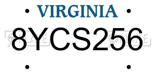 8YCS256 Virginia License Plate