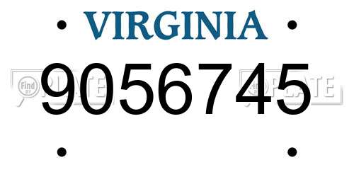 9056745 Virginia License Plate