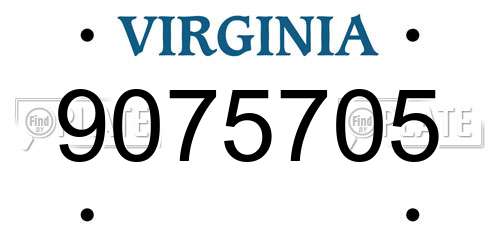 9075705 Virginia License Plate