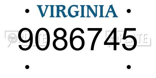 9086745 Virginia License Plate
