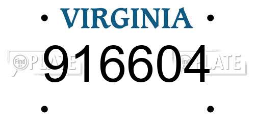 916604 Virginia License Plate