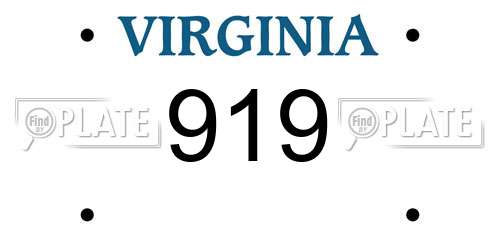 919 Virginia License Plate