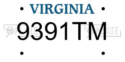 9391TM Virginia License Plate