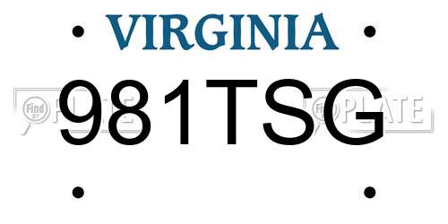 981TSG Virginia License Plate