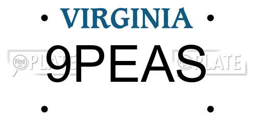 9PEAS Virginia License Plate