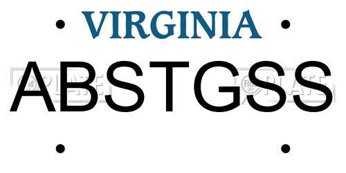 ABSTGSS Virginia License Plate