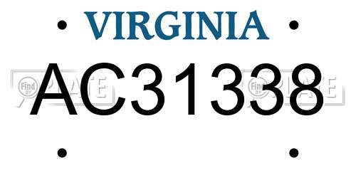 AC31338 Virginia License Plate