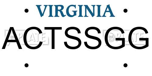 ACTSSGG Virginia License Plate
