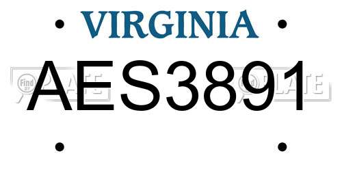AES3891 Virginia License Plate