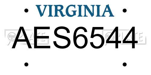 AES6544 Virginia License Plate